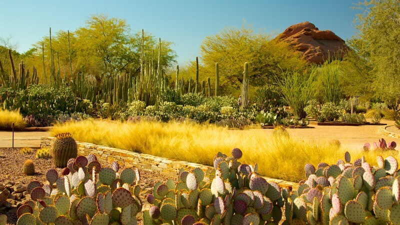 Hotels Near Scottsdale Sports Complex Hotels Near Scottsdale Sports Complex
