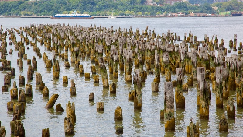 Hudson River Park Pictures: View Photos & Images of Hudson River Park