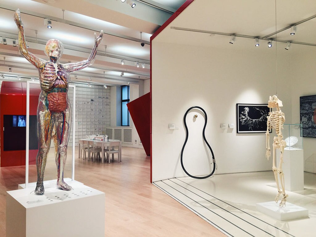 wellcome-collection-gallery