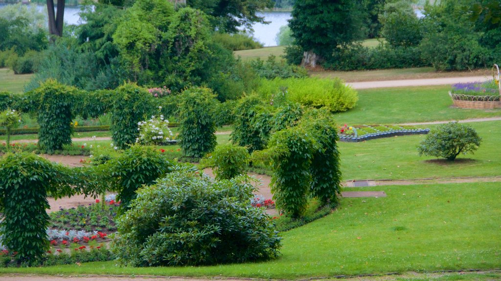 Parque de Babelsberg mostrando jardín