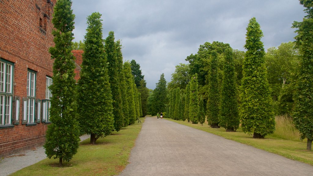 New Garden mostrando um parque