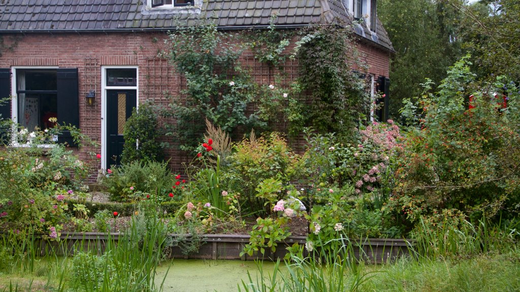 Breukelen menunjukkan rumah dan bunga