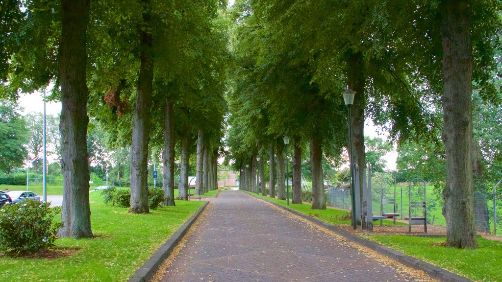 Kerkrade showing a park