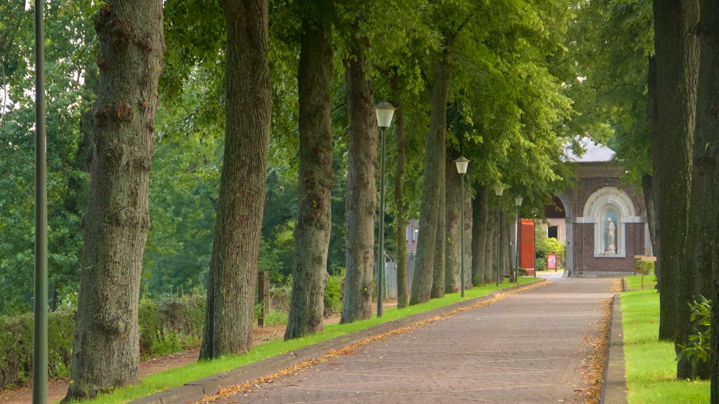 柯爾克拉德 呈现出 花園