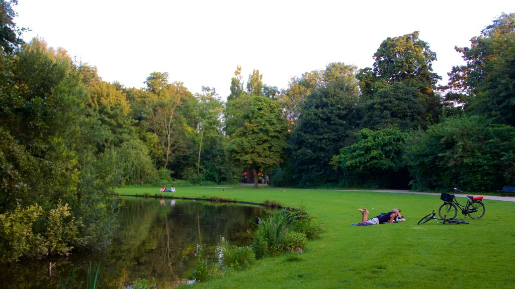 Vondelpark showing a garden and a pond as well as a couple