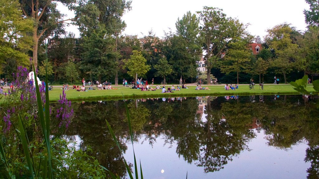 Vondelpark showing a park and a pond as well as a large group of people