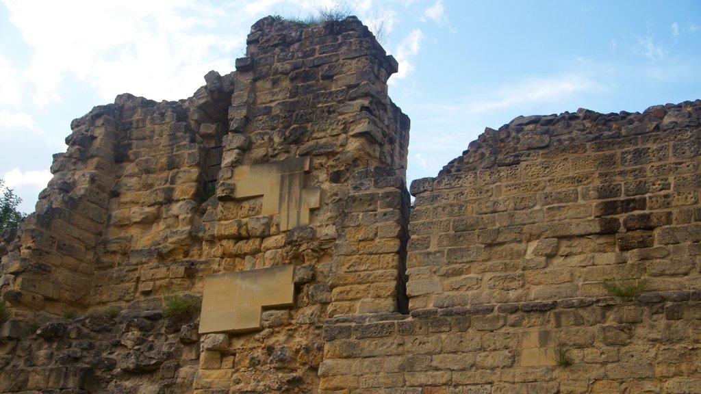 Valkenburg Castle featuring château or palace, heritage elements and building ruins