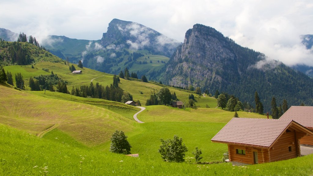 Bernese Alps showing a house, mountains and tranquil scenes