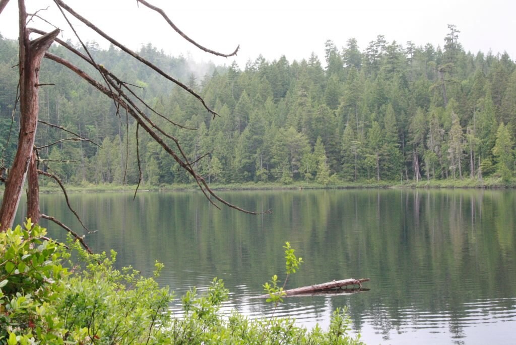 Skookumchuck Trail