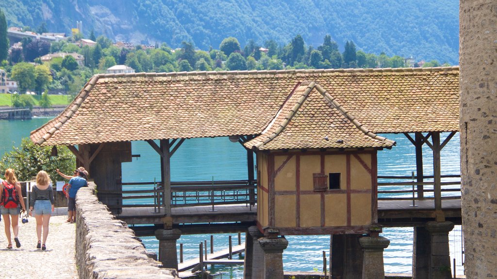 Chateau de Chillon which includes chateau or palace and general coastal views