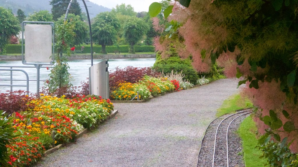 Schadaupark ofreciendo flores y un parque