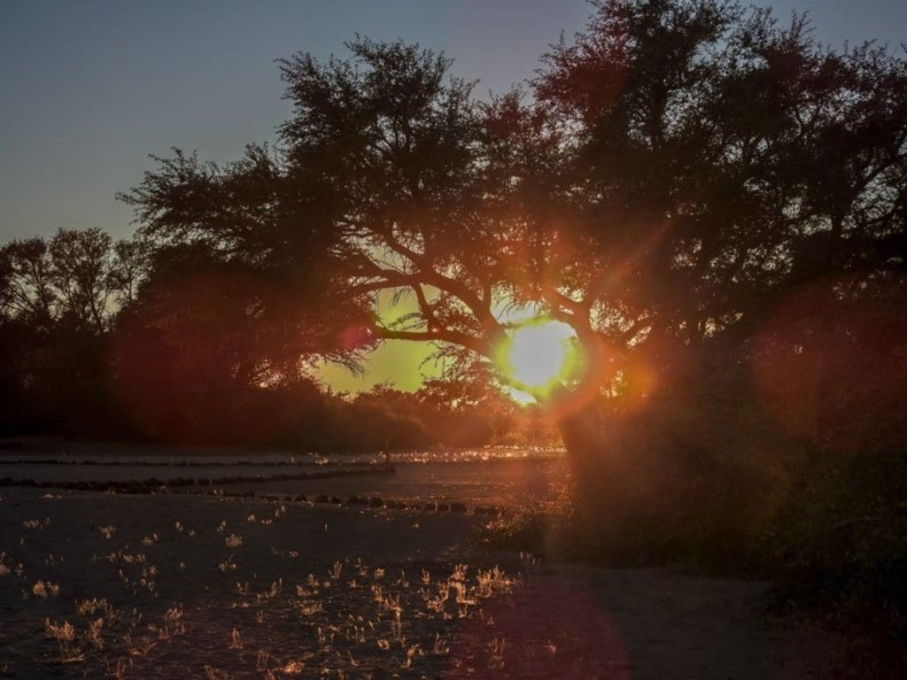 Self Game Drive am Brandberg in Namibia