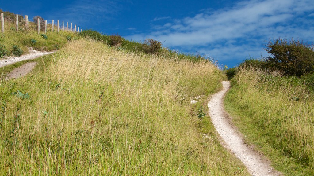 White Cliffs of Dover which includes tranquil scenes