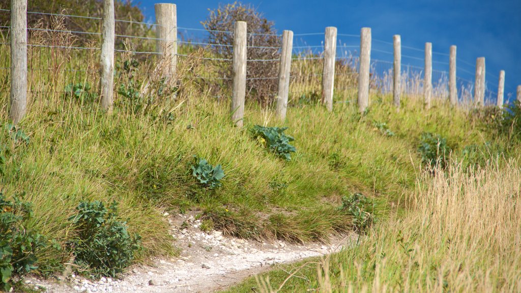 White Cliffs of Dover which includes tranquil scenes