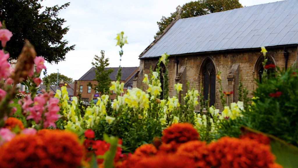 Wisbech mettant en vedette fleurs