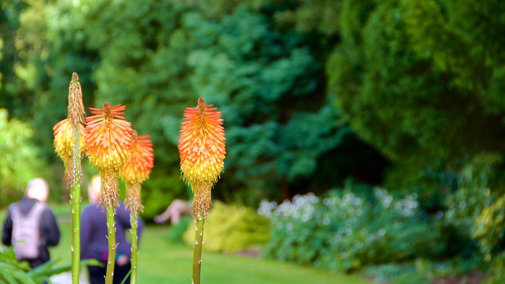 Truro toont bloemen