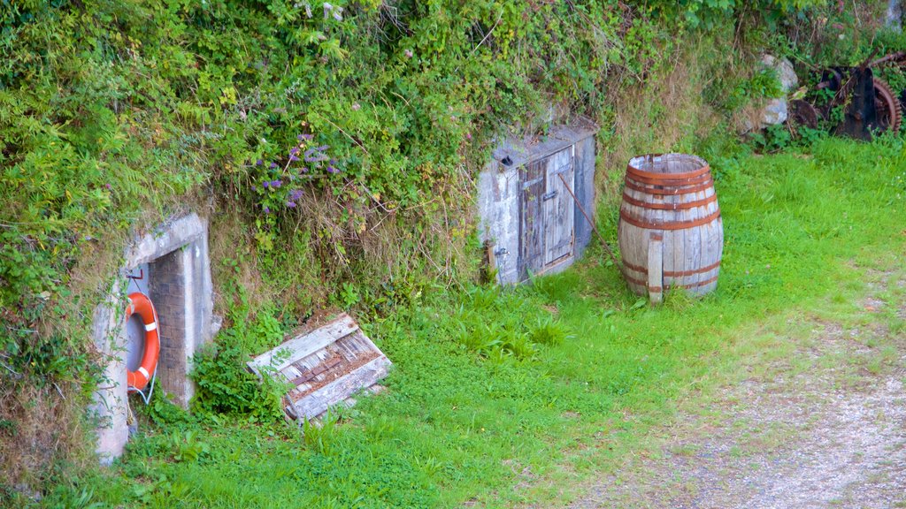 Charlestown showing a garden