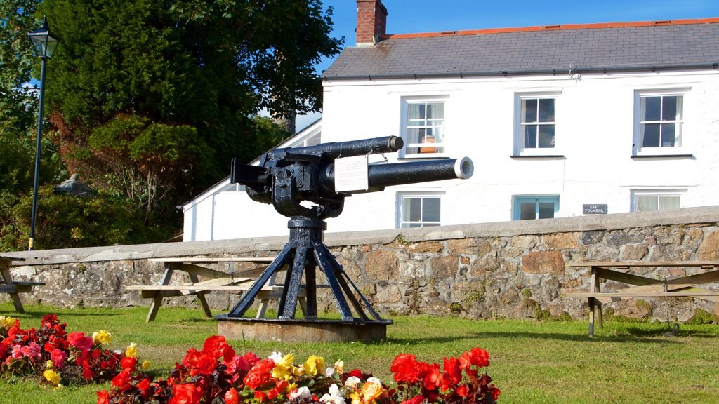 Charlestown showing flowers