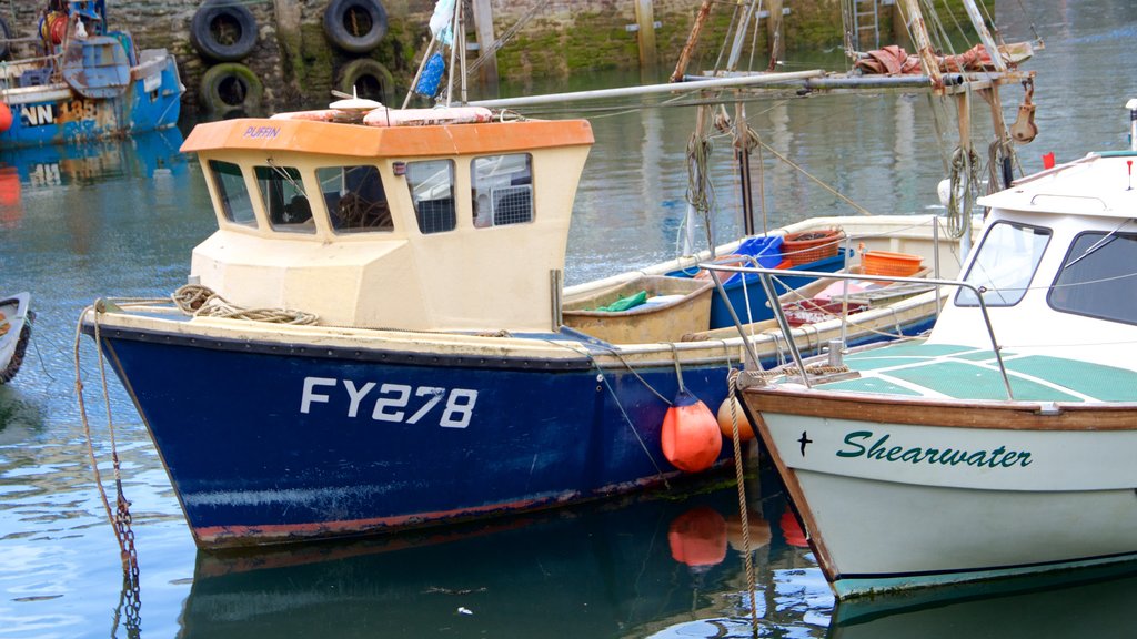 Mevagissey que inclui uma baía ou porto e canoagem