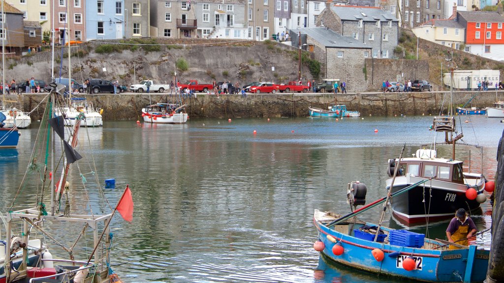 Mevagissey mostrando baia e porto e giro in barca