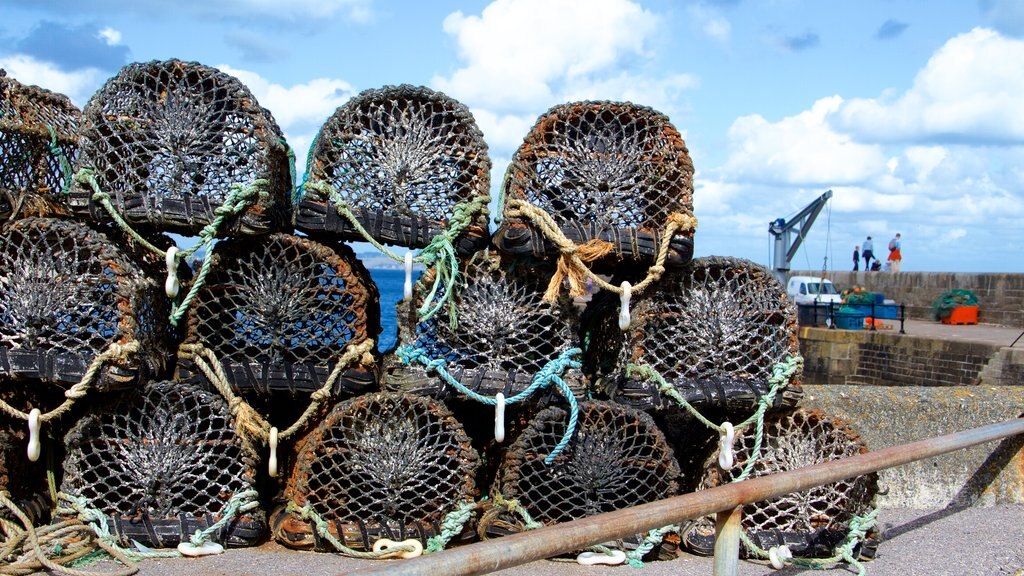 Mevagissey montrant pêche et bateau