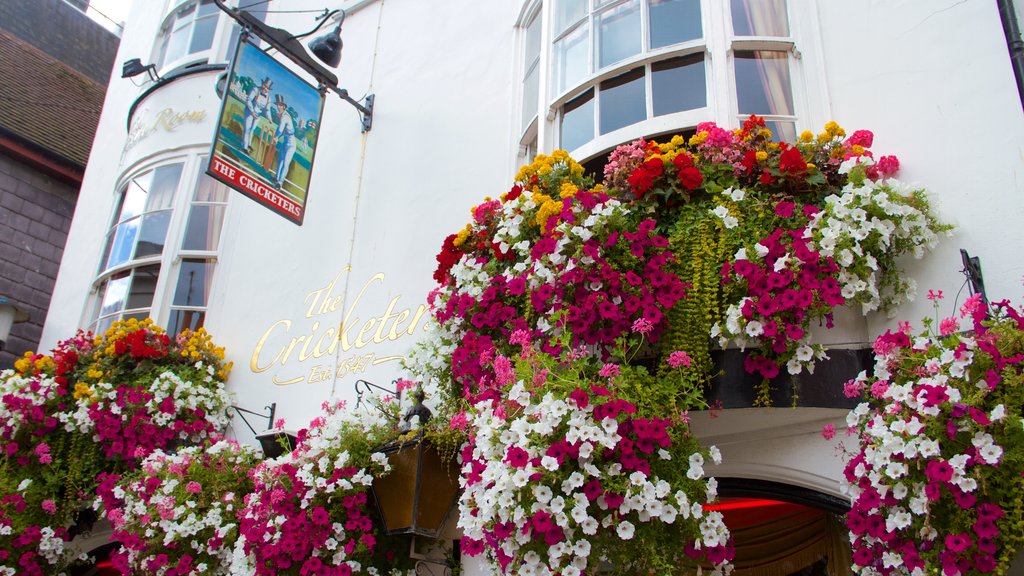 The Lanes featuring flowers and signage