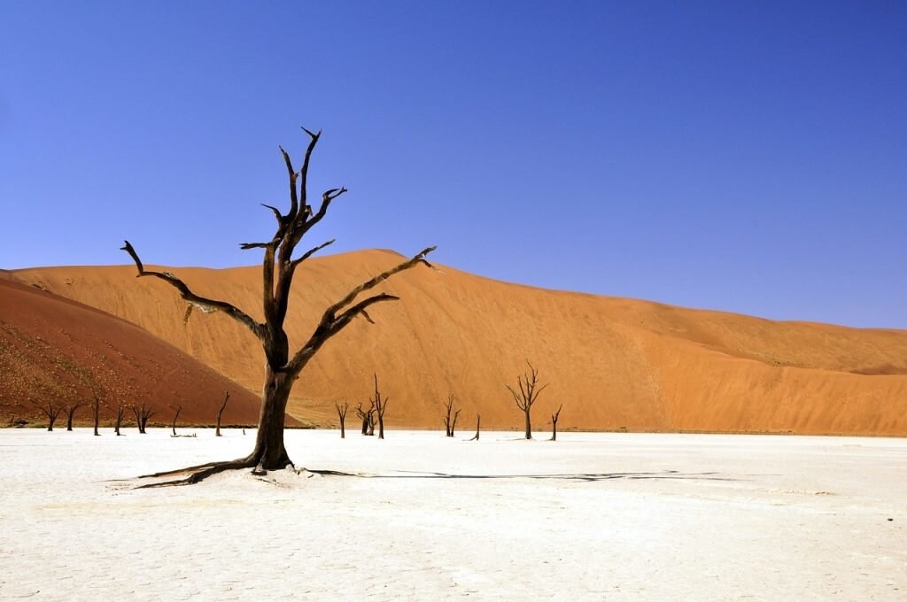 Deadvlei in der Namibwüste