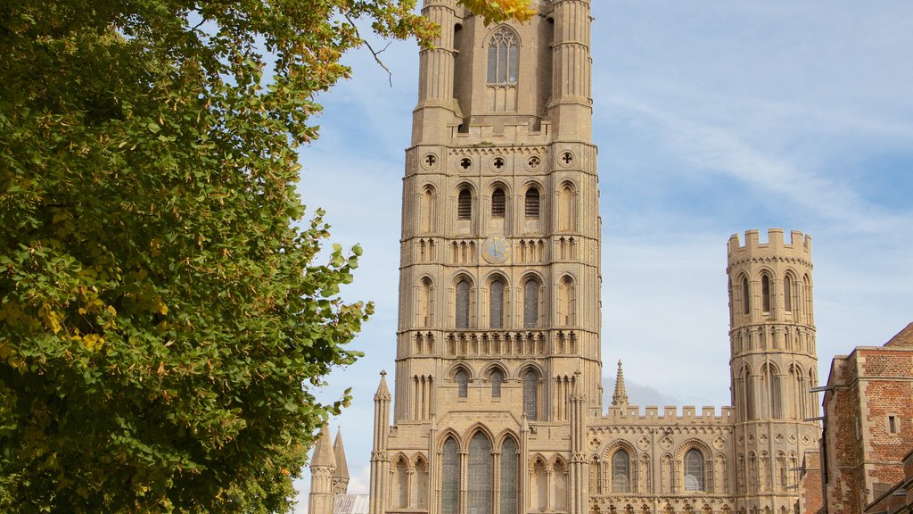 Ely Cathedral featuring heritage architecture, heritage elements and a church or cathedral