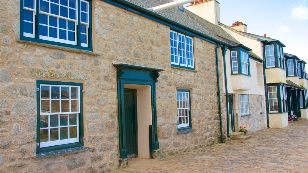 St. Michael\'s Mount showing a house