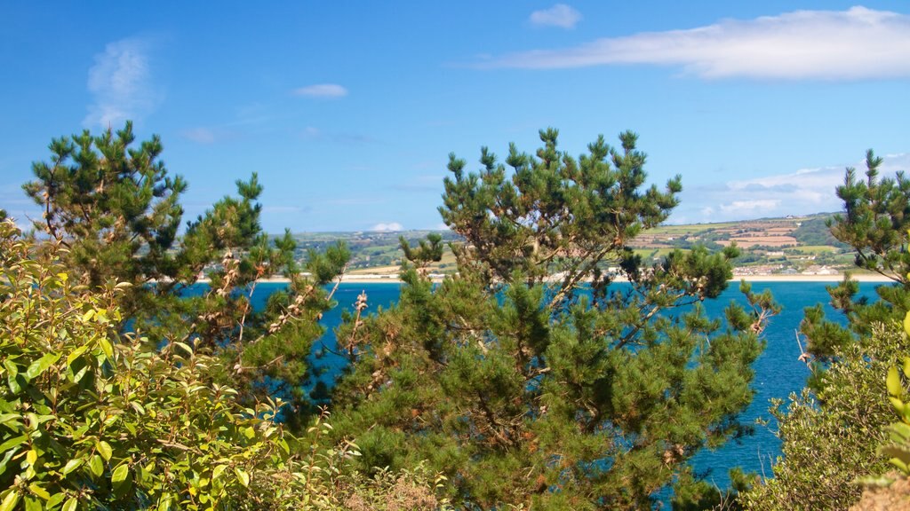 St. Michael\'s Mount mostrando vistas generales de la costa