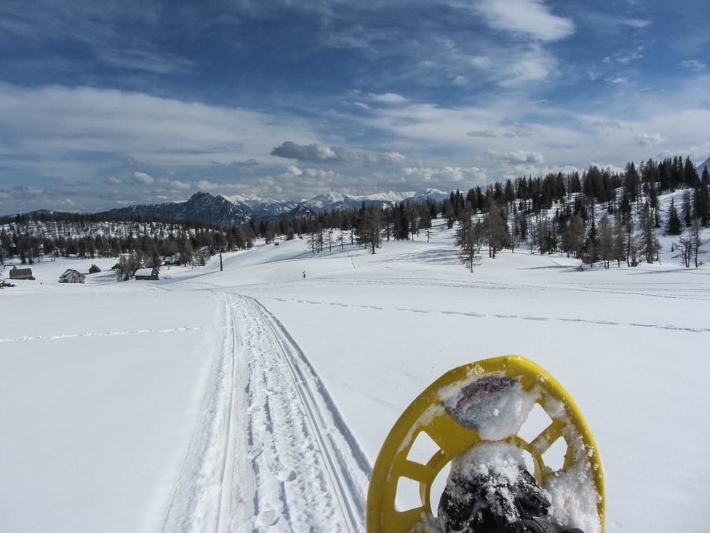 steiermark-ski-web-23-von-26