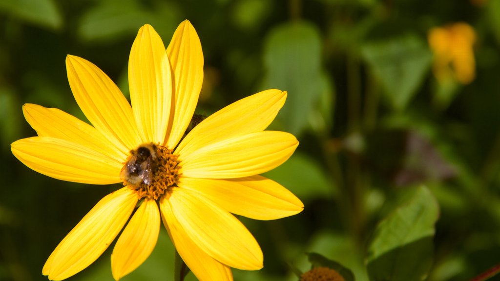 Truro que inclui flores