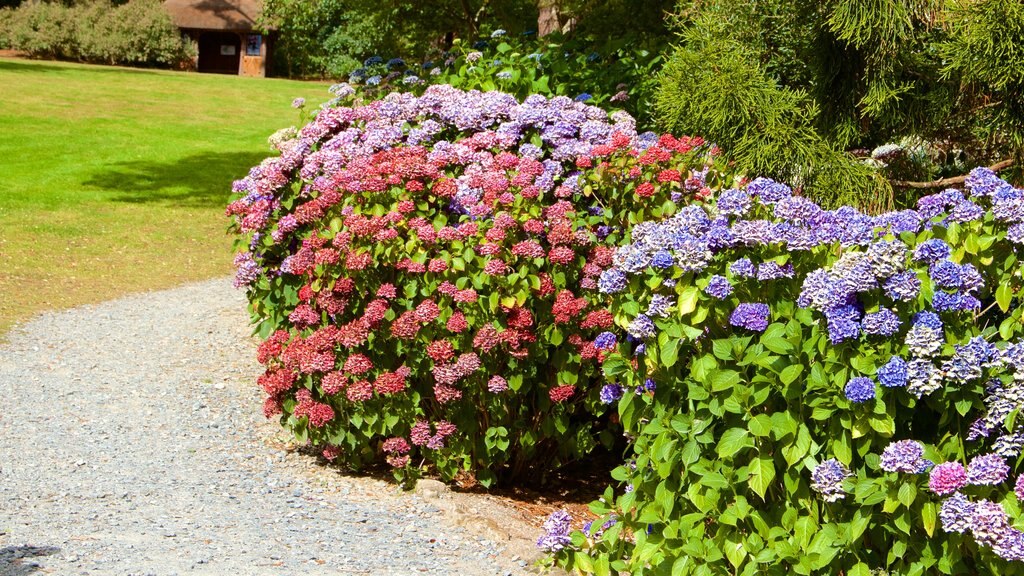 Truro showing a park and flowers