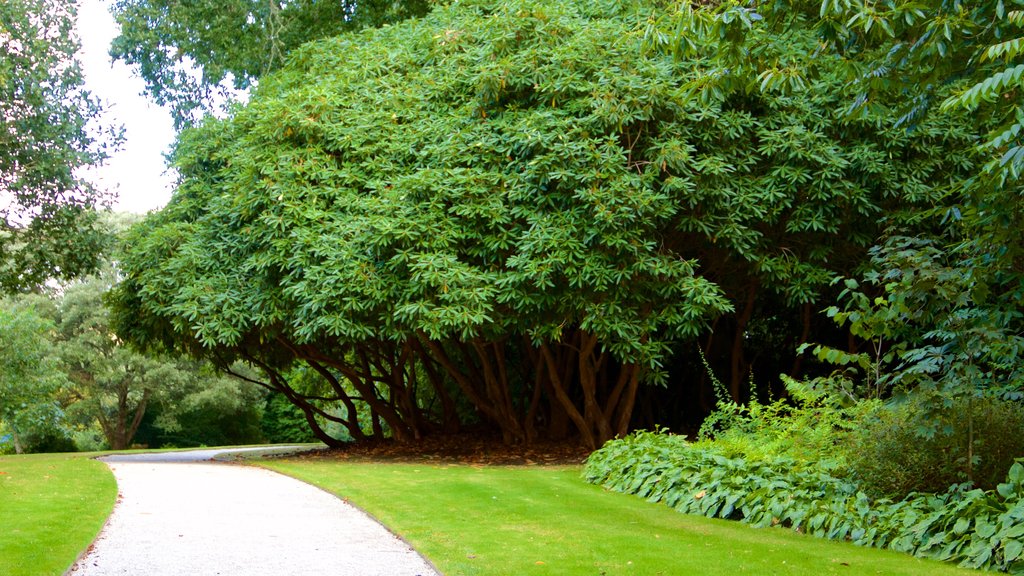 Truro showing a garden