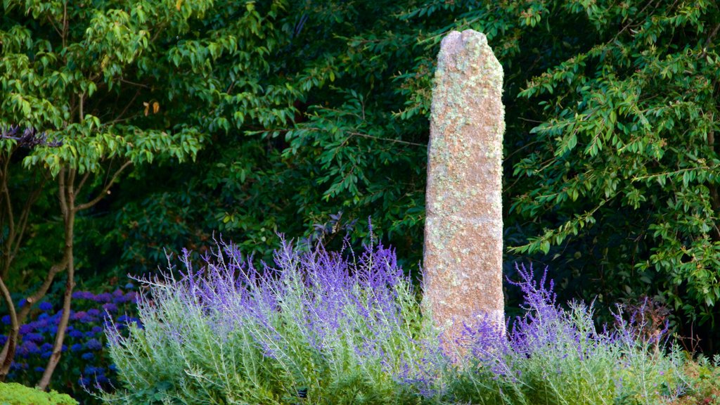 Truro montrant un jardin