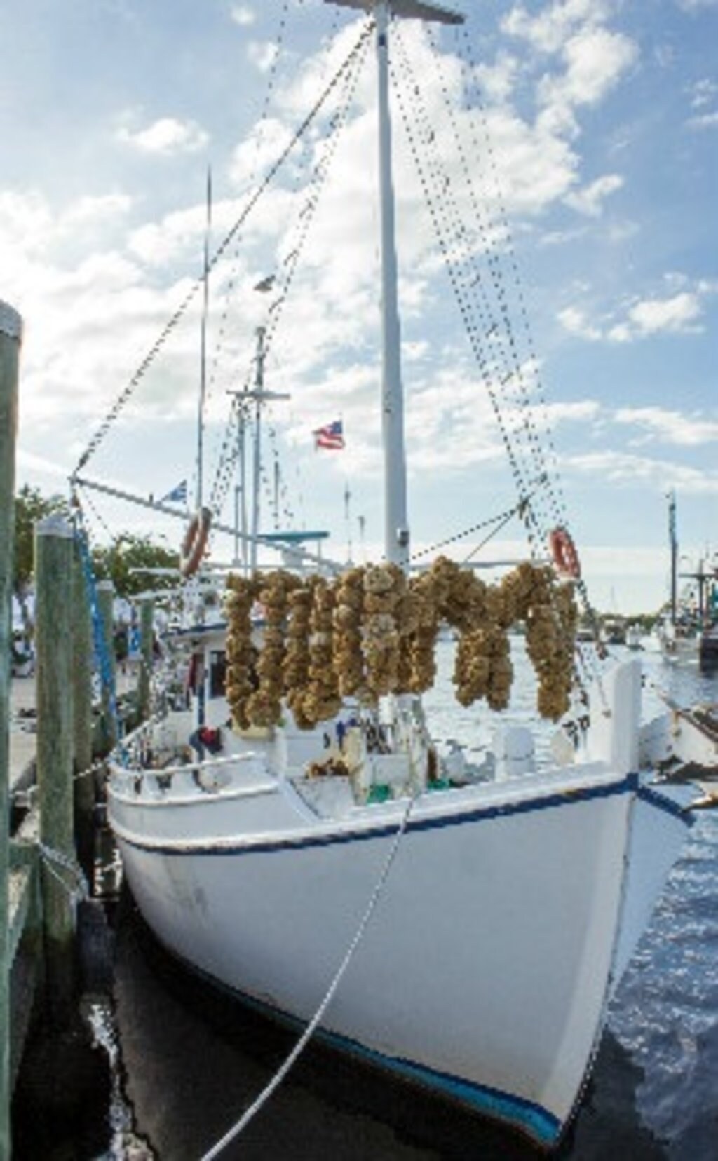 Segelbot in Florida
