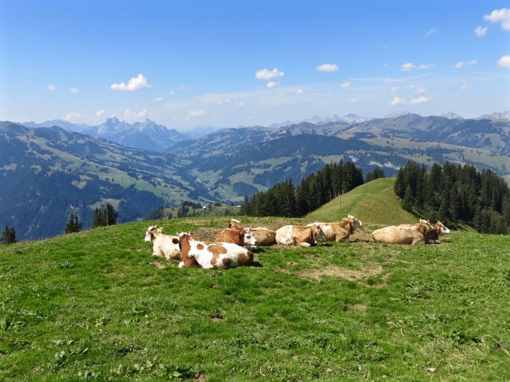 wandern-im-berner-oberland, Schweiz