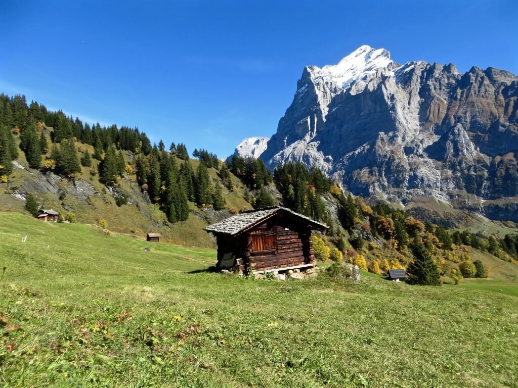 alpenidylle-in-grindelwald, Schweiz