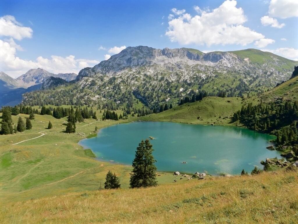bergseen-in-der-schweiz-hier-der-seebergsee-im-berner-oberland