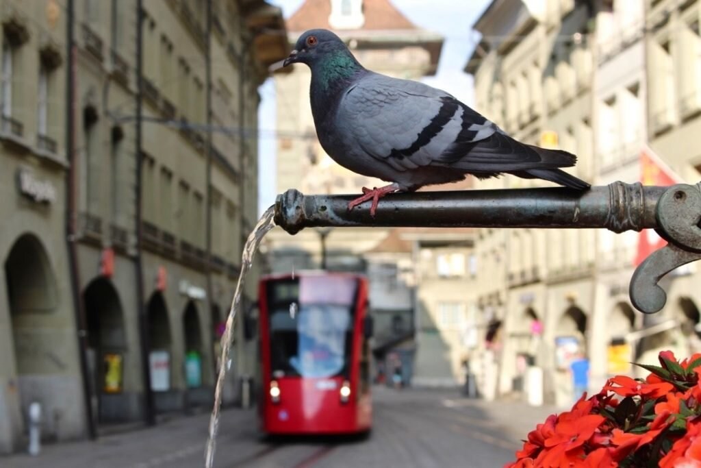bern-aus-einer-anderen-persepektive, Schweiz