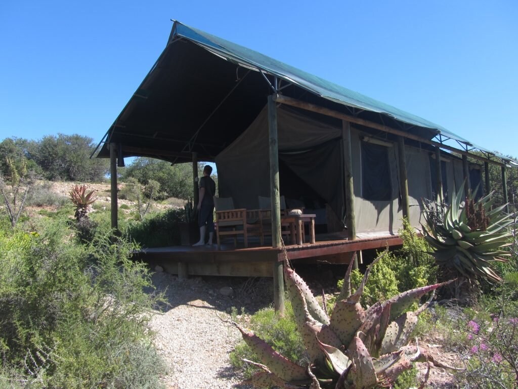 Ein Luxus-Wohnzelt auf Safari in Südafrika