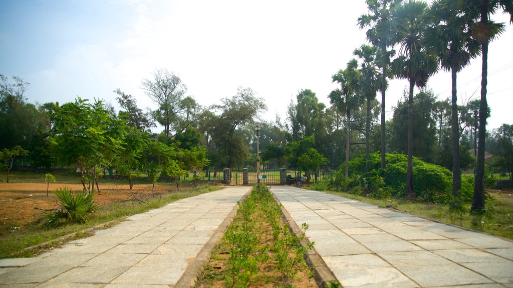 Tiger Cave featuring a park