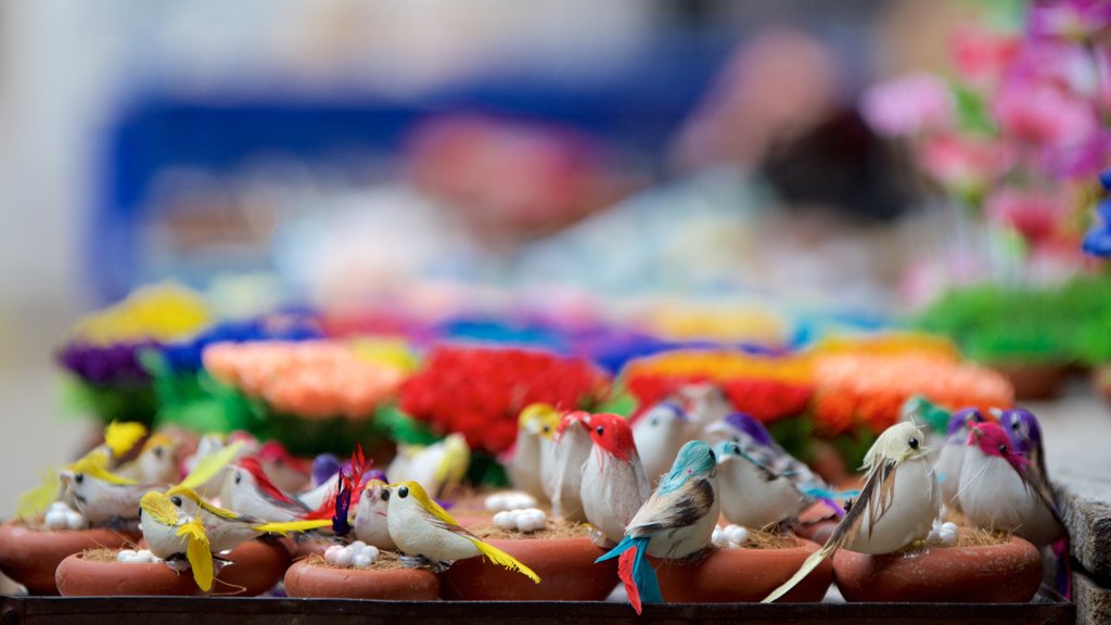 Pondicherry featuring markets