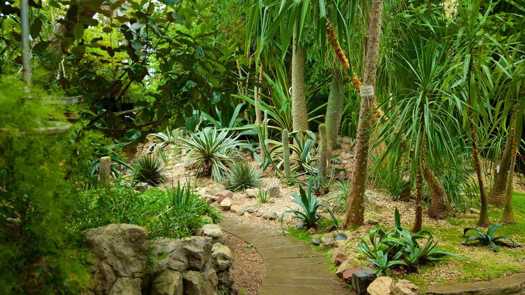 Jardines botánicos de Moscú ofreciendo un parque