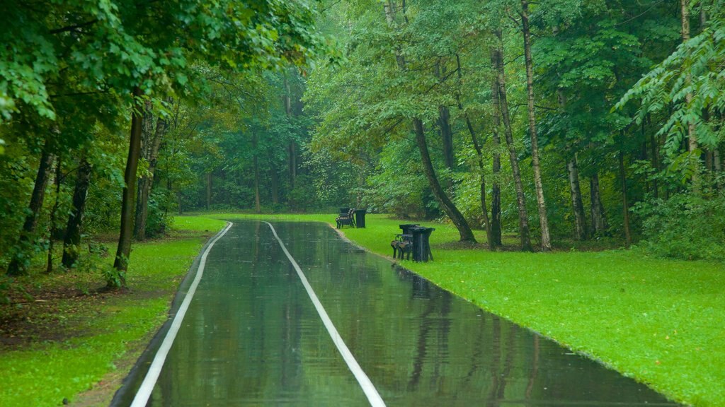 Moscow Botanical Gardens which includes a garden