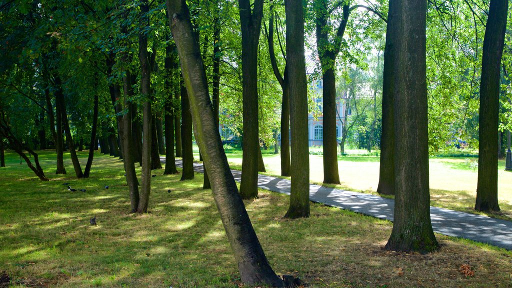 Alexander Nevsky Lavra featuring a park