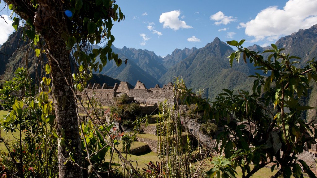 Huayna Picchu showing mountains, landscape views and heritage elements