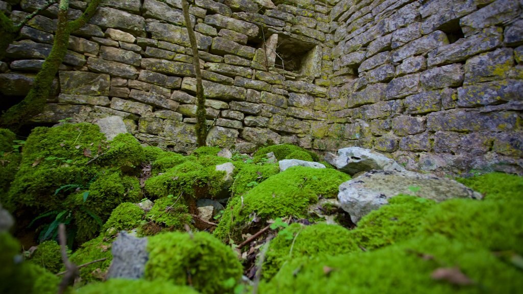 Dvigrad que incluye ruinas de edificios