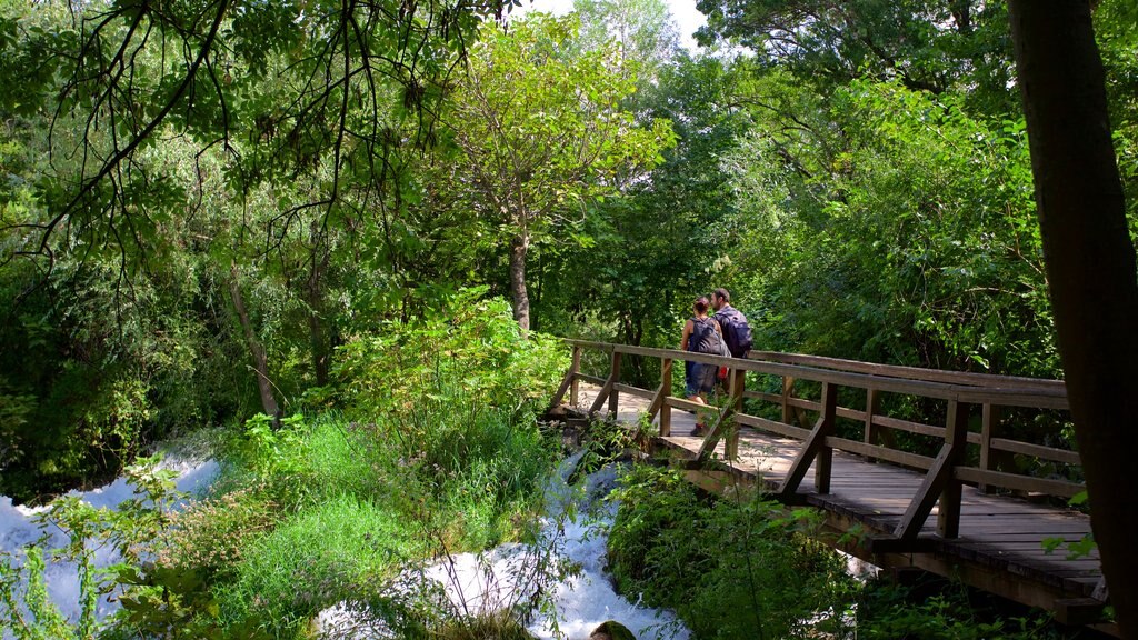 Krka National Park showing hiking or walking, rapids and a river or creek