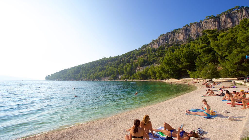 Kasuni Beach featuring a sandy beach and general coastal views as well as a large group of people